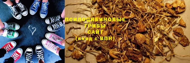 кракен маркетплейс  Кремёнки  Галлюциногенные грибы Psilocybe 